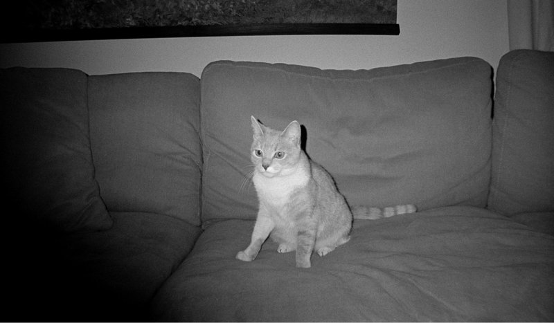 Hero Slideshow Image 2