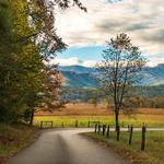 Cades Cove Scenic Loop