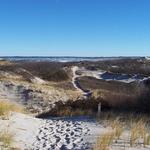Crane Beach