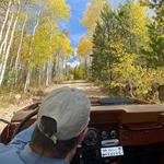 Mountain Wolf Jeep Adventures