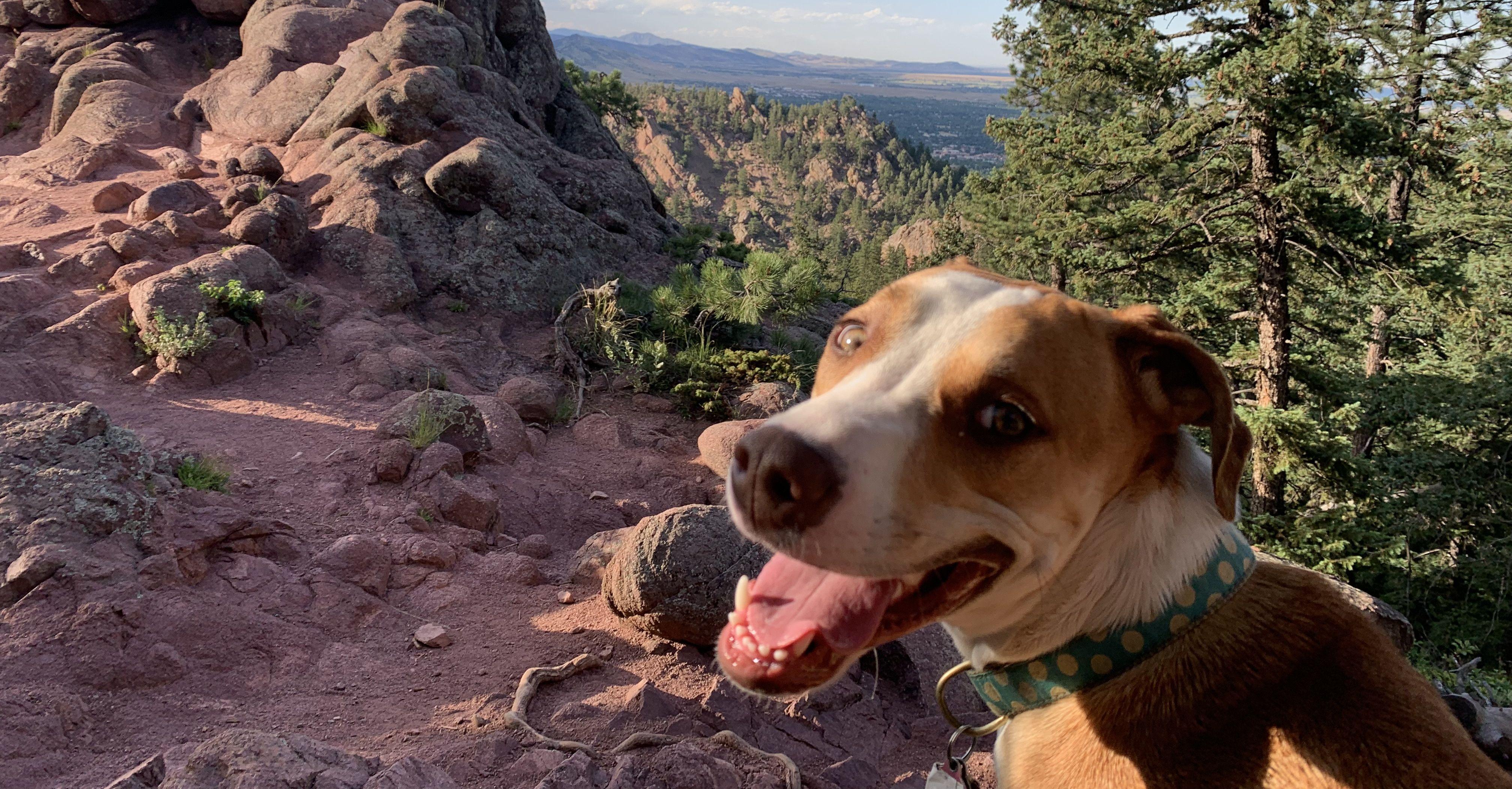 74189cd5-6871-472d-8c4f-83ff543080ec