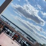 The Nauti Goose