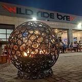 Wild Ride Brewing