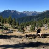 Olympic Peninsula