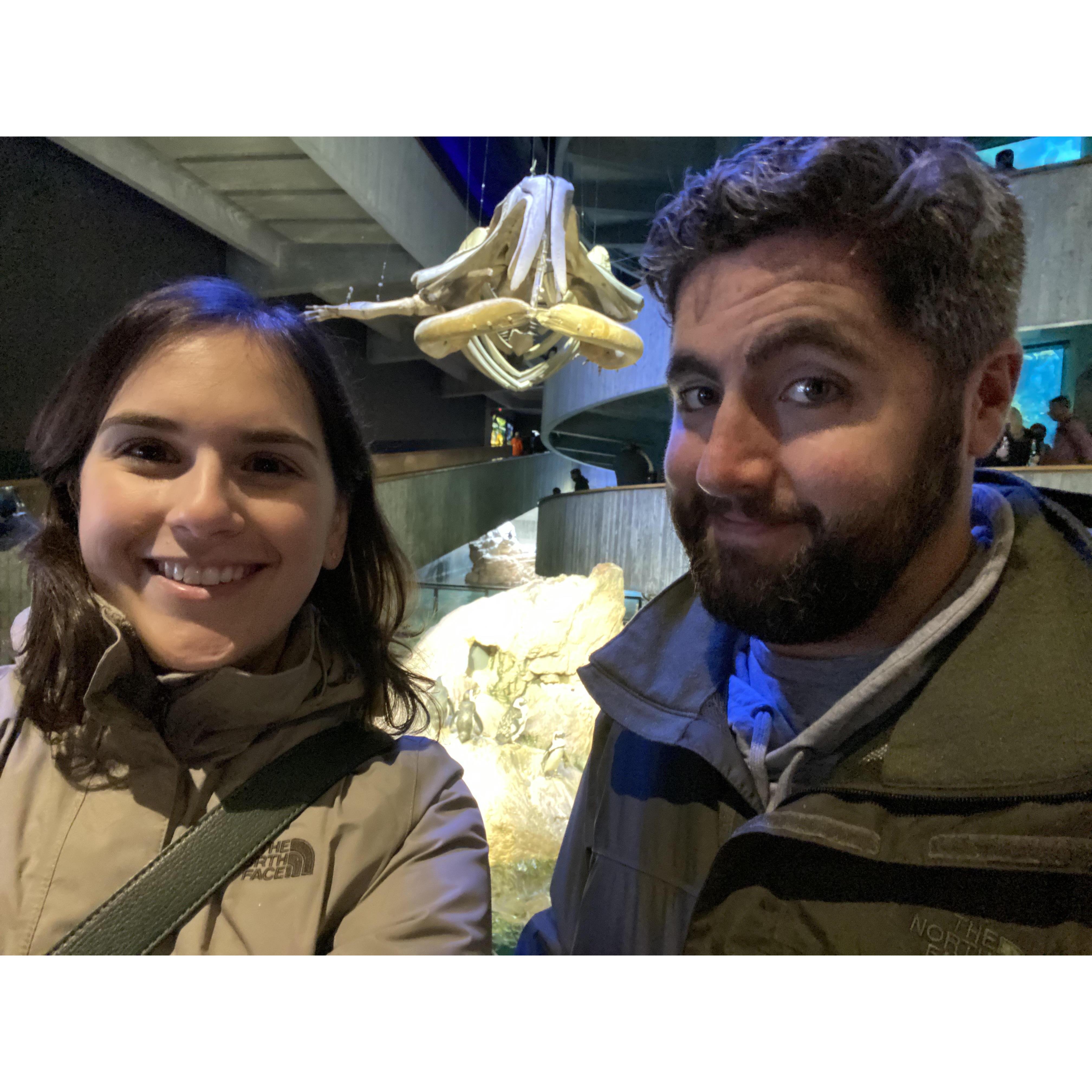 Being chased by a whale skeleton at the New England Aquarium in Boston, MA - July 2021