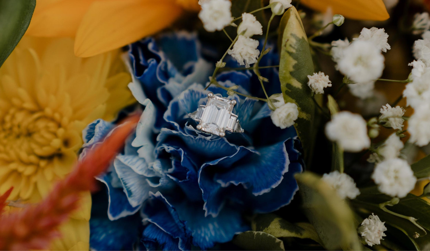 The Wedding Website of Bella Pollazzi and Andrew Jaconski
