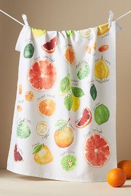 Types of Citrus Dish Towel
