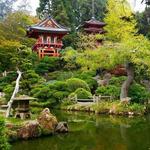 Japanese Tea Garden