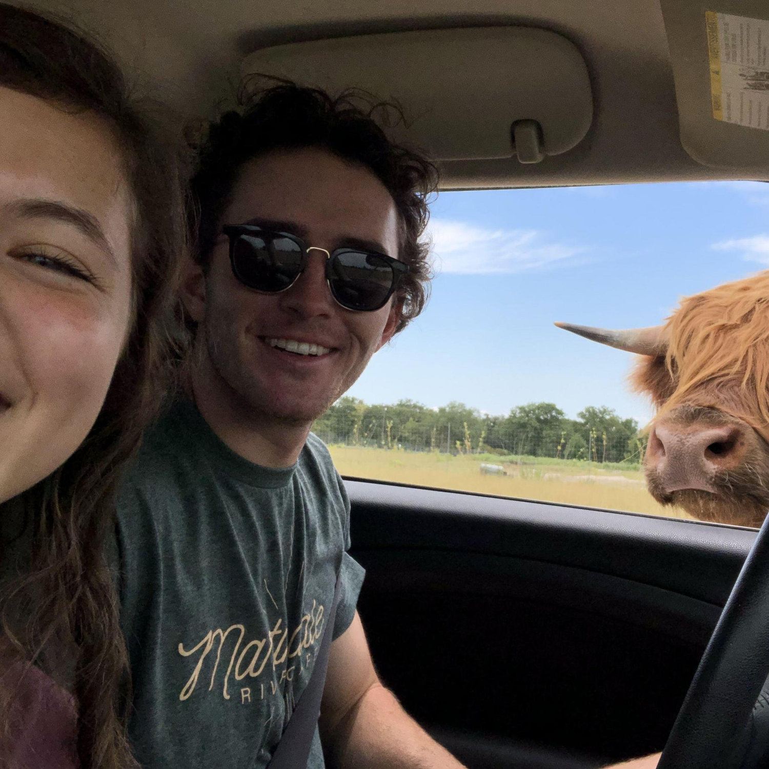 Drive Thru Safari 2020