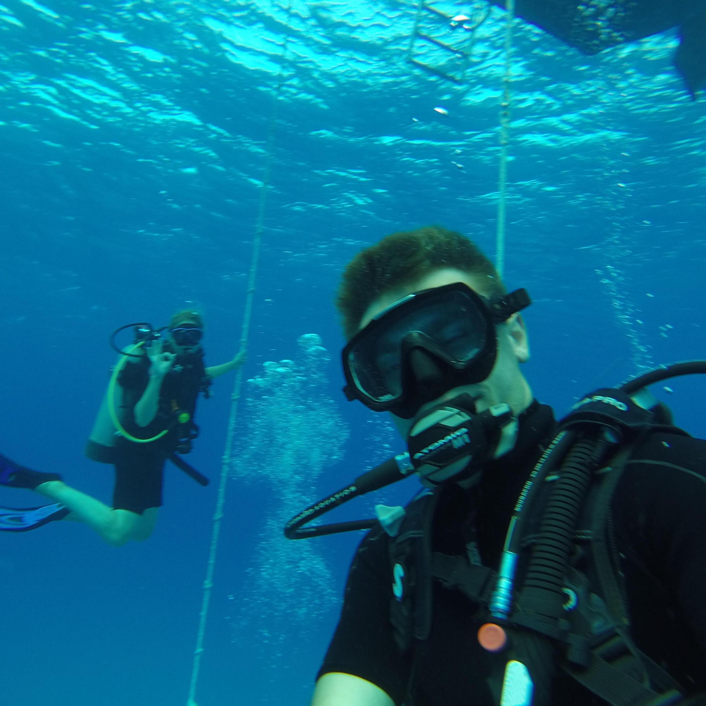 Dive buddies