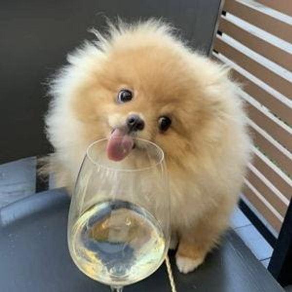Pomeranian Fund