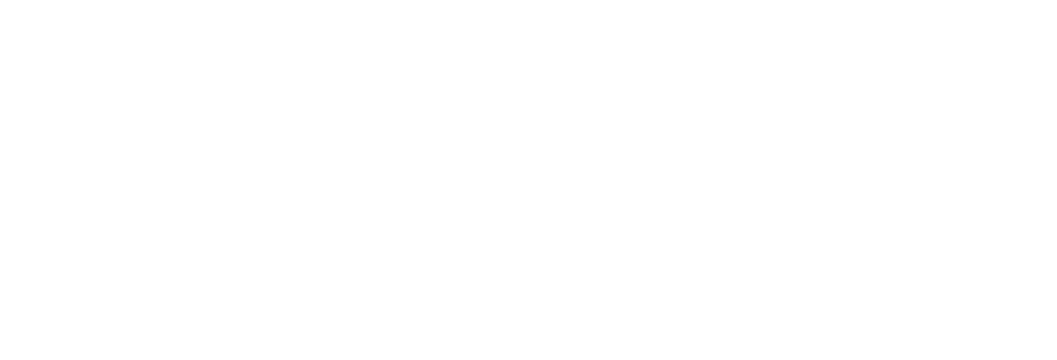 The Wedding Website of Nika Bergdahl and Zack Merola