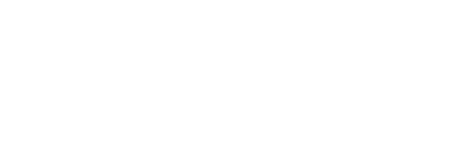 The Wedding Website of Nika Bergdahl and Zack Merola