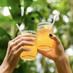 Kauai Safaris Rum Tour