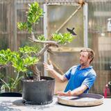 Native Nurseries