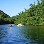 Wailua River Kayak & Secret Sacred Falls Tour