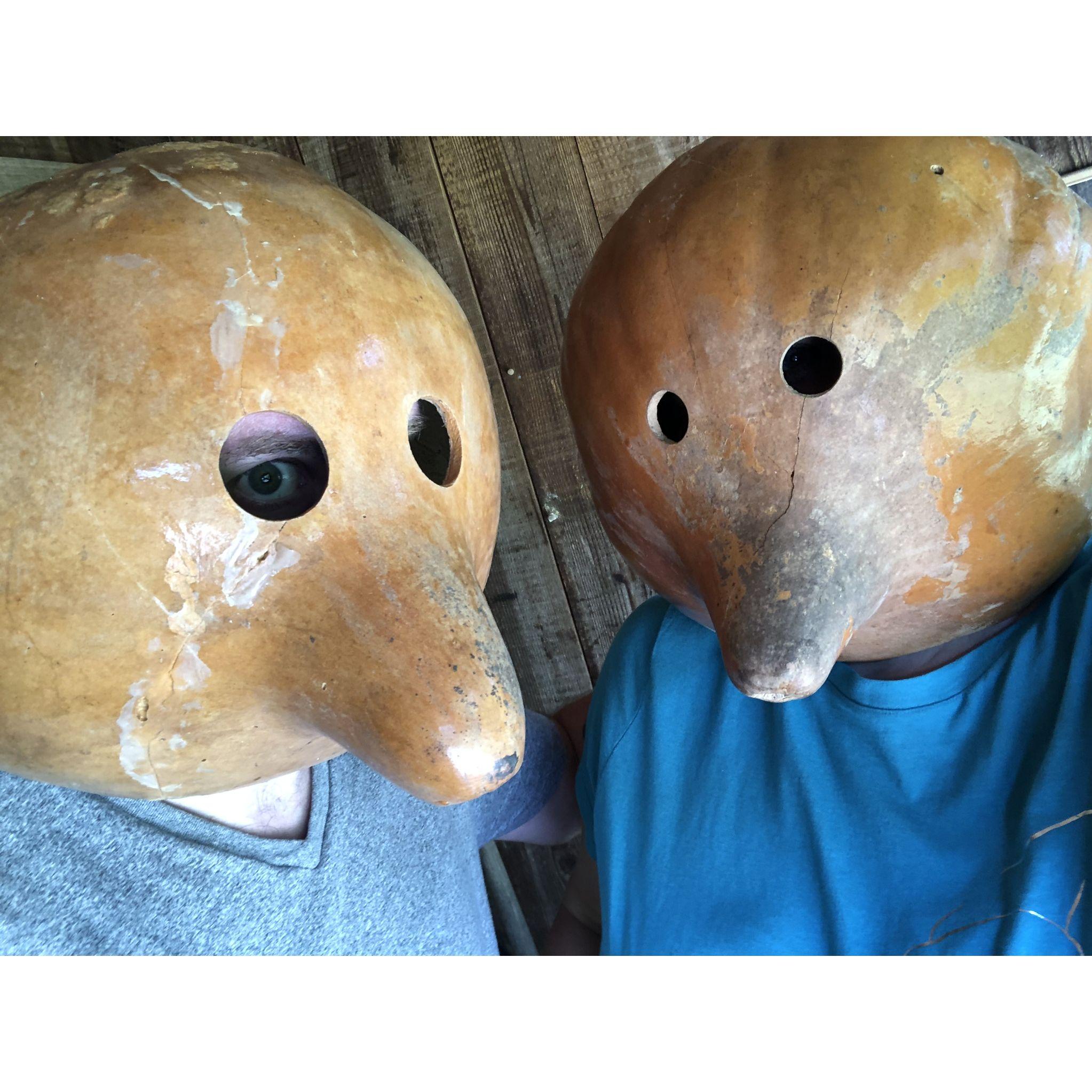 So there's a gourd museum in Georgia. Ask us about it