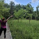 Ecology Park