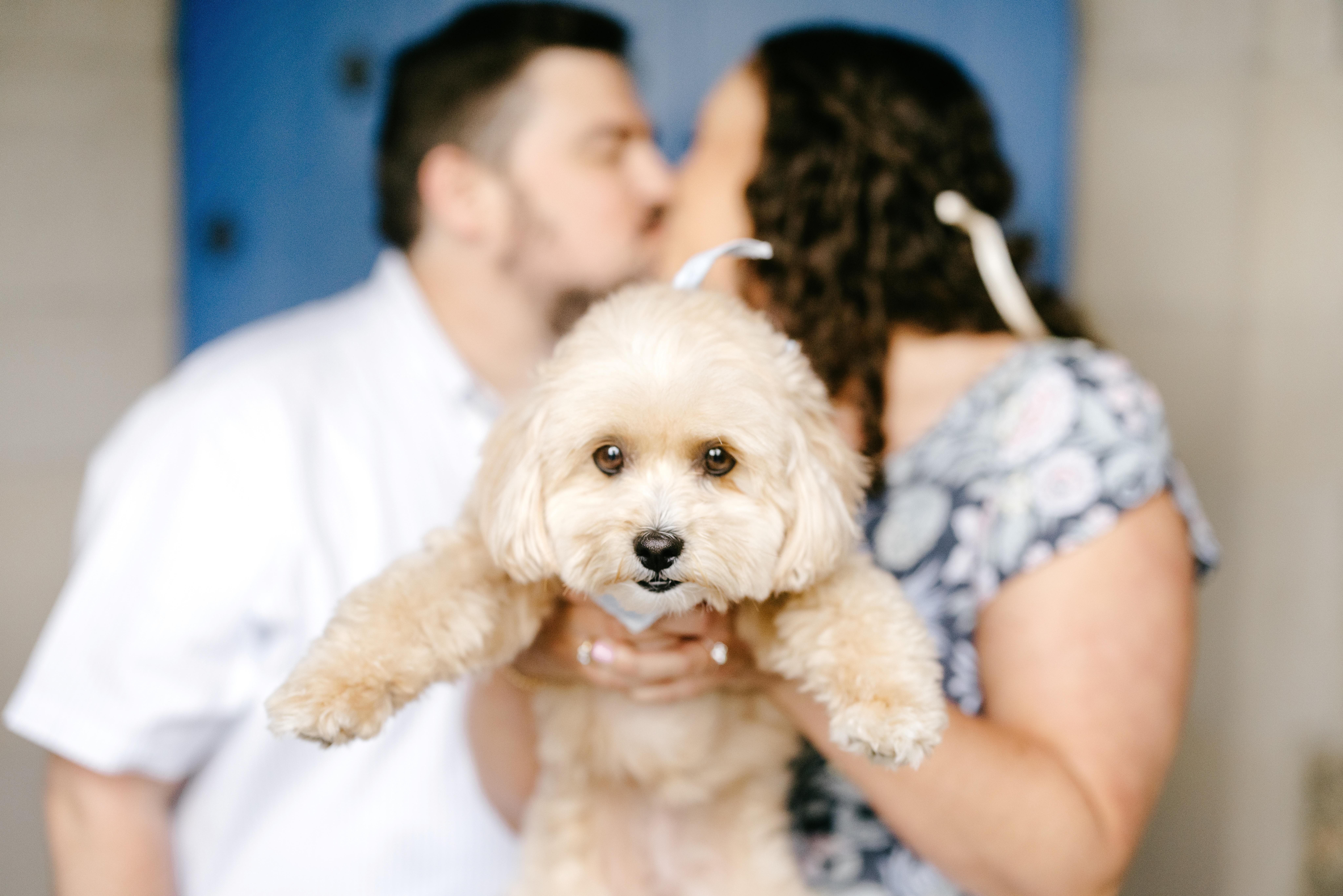 The Wedding Website of Rachel Lovelidge and Christopher Blake