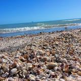 Bowman's Beach