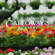 Landscaping-Calloways