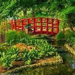 Miami Beach Botanical Garden
