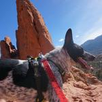 Garden of the Gods Visitor and Nature Center