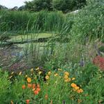 The Oregon Garden