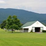 King Family Vineyards