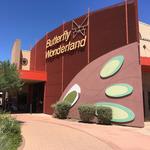 Butterfly Wonderland