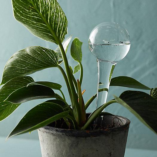 Watering System Globe