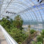 Myriad Botanical Gardens