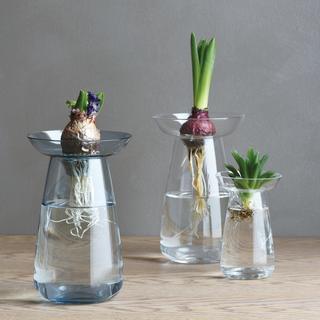 Aqua Culture Vase