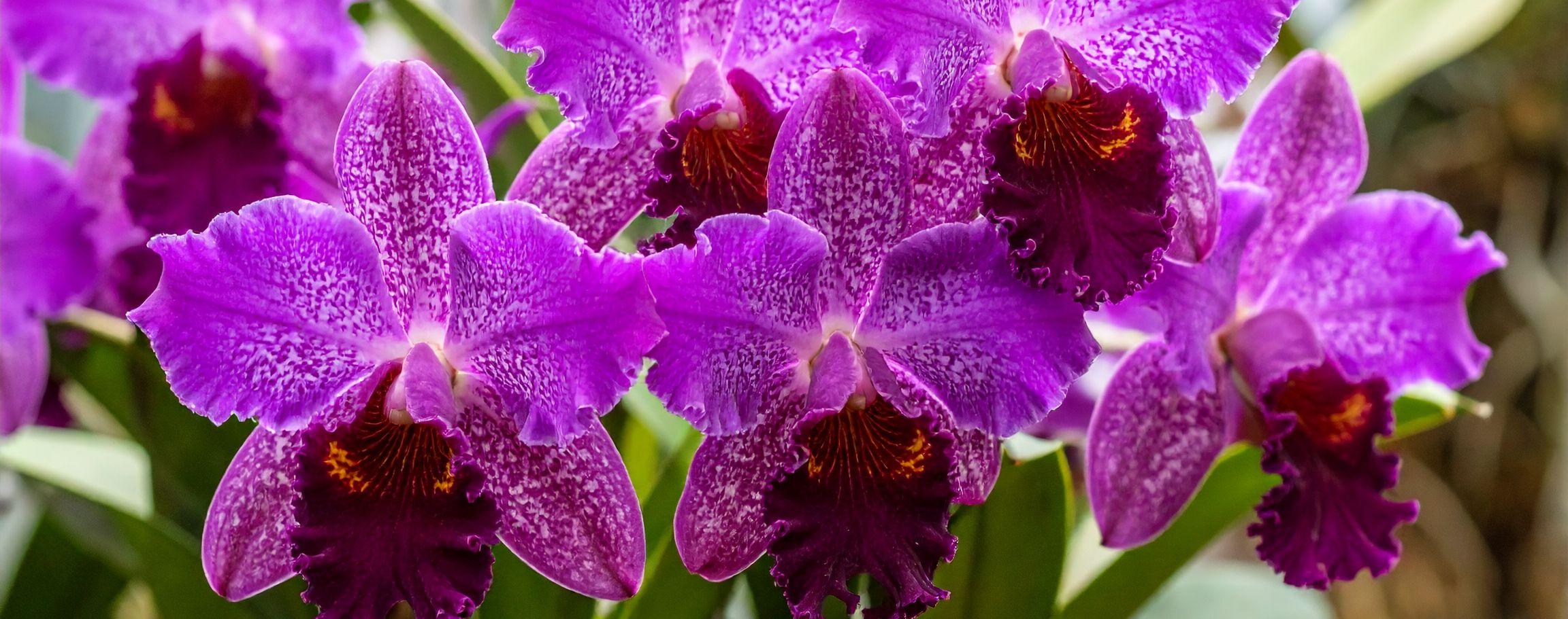 The Wedding Website of Amalia Escobar Restrepo and Juan Gonzalo Jaramillo Mejía