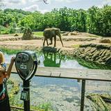 Pittsburgh Zoo & Aquarium