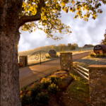 Arrington Vineyards