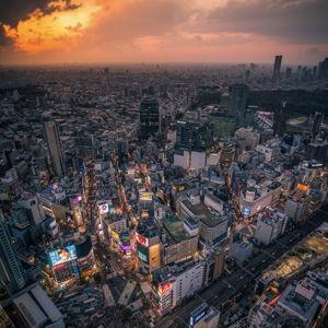 Shibuya Sky Tickets