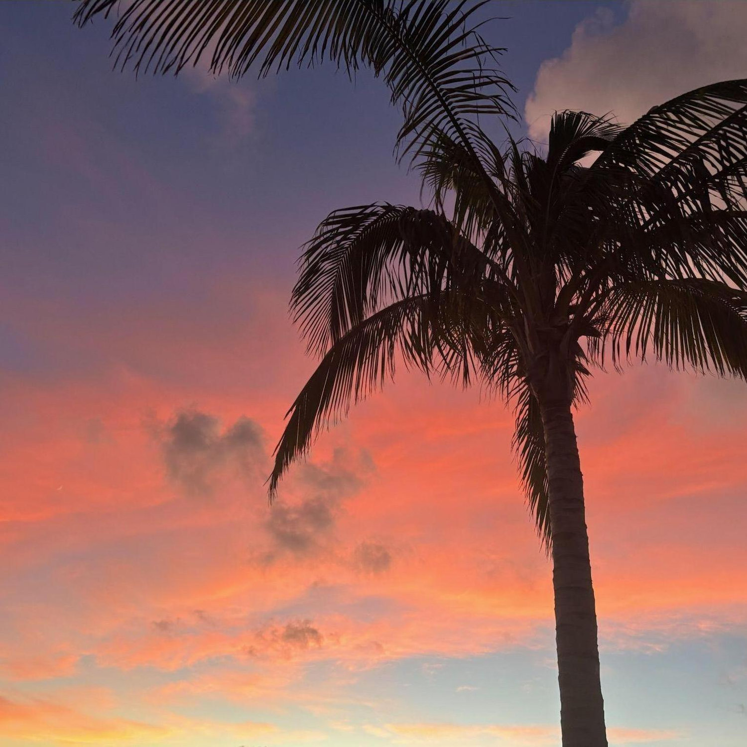 Key Largo, FL