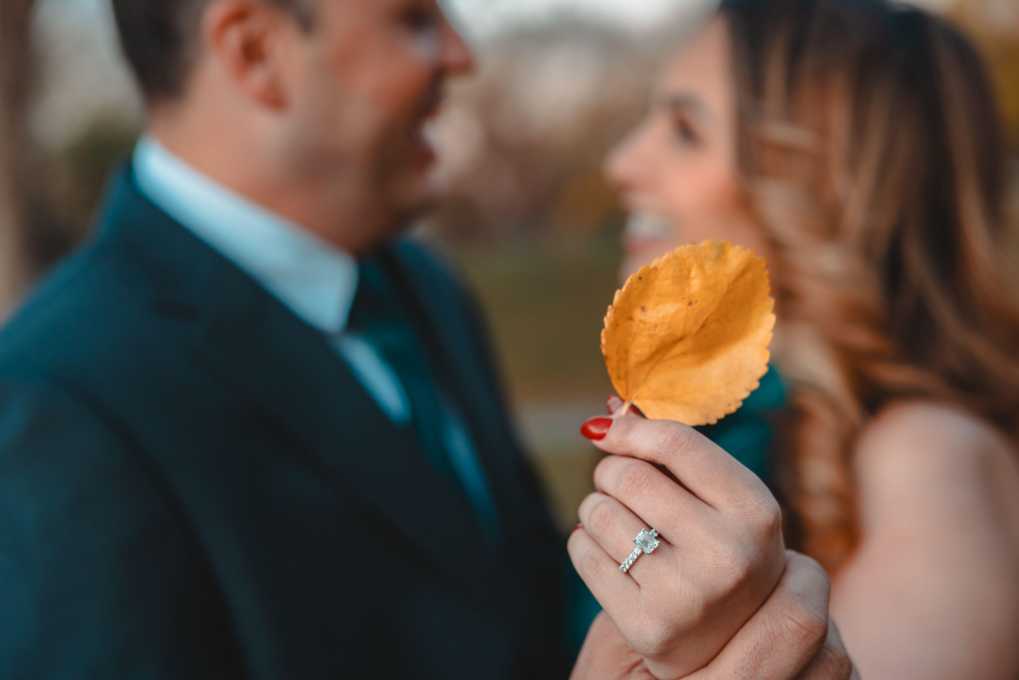 The Wedding Website of Noha Abaza and Mahmoud Kasdi