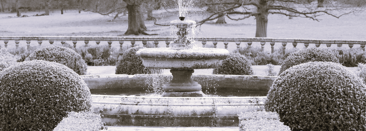 The Wedding Website of Mina Yusuf and Callum Thurgood
