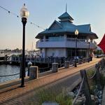 Bull Island Brewing Company