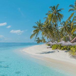 Honeymoon Fund