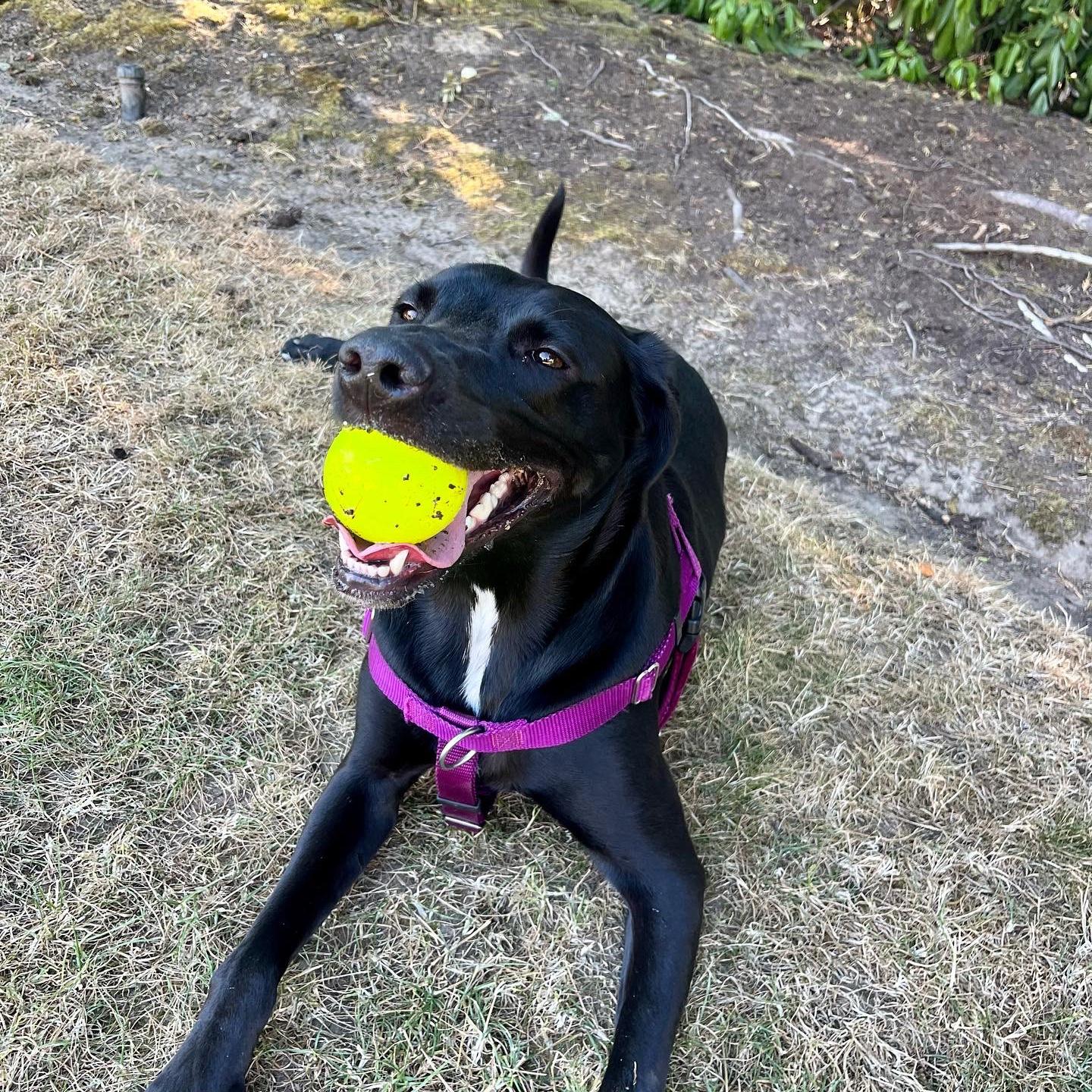 A good girl