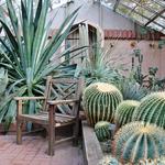 Lamberton Conservatory