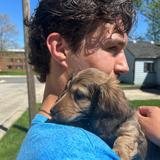 Brought home our little angel, Ollie.