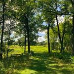 Fort Sheridan Forest Preserve