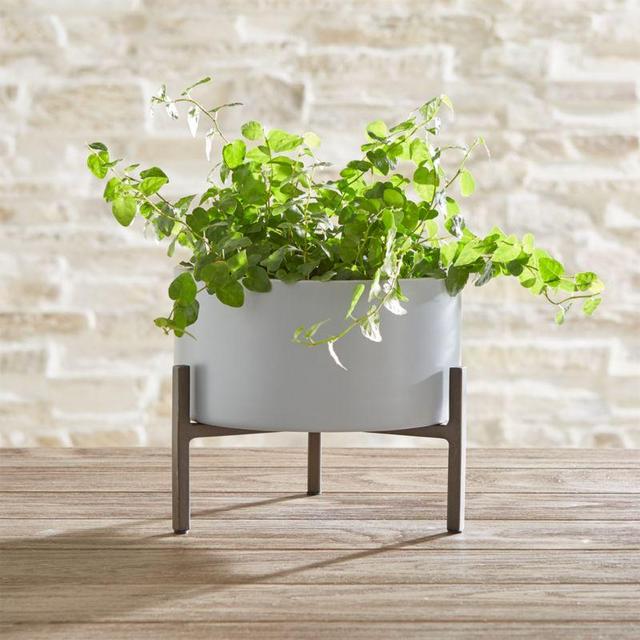 Dundee Large Tabletop Planter