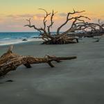 Jekyll Island