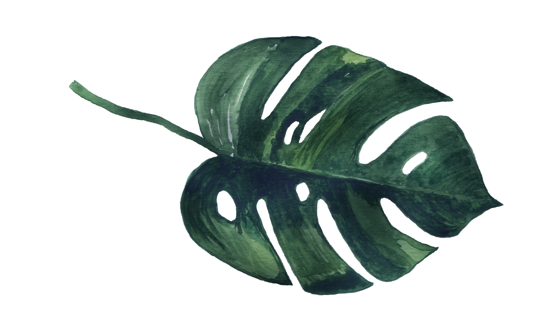 Footer image
