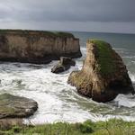 Shark Fin Cove
